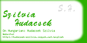 szilvia hudacsek business card